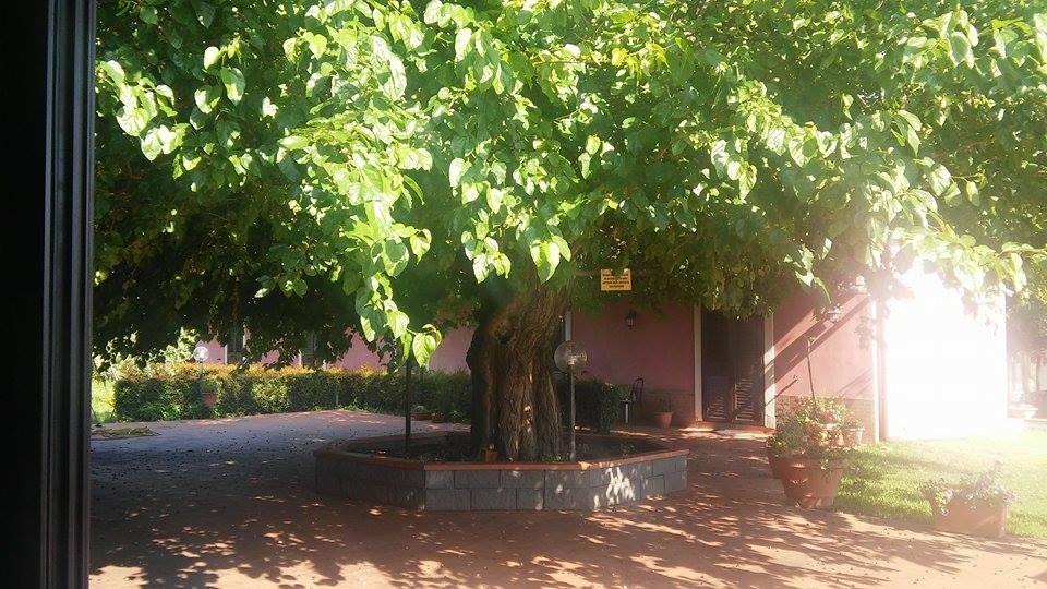 Agriturismo Il Pozzo Antico Mascali Zewnętrze zdjęcie