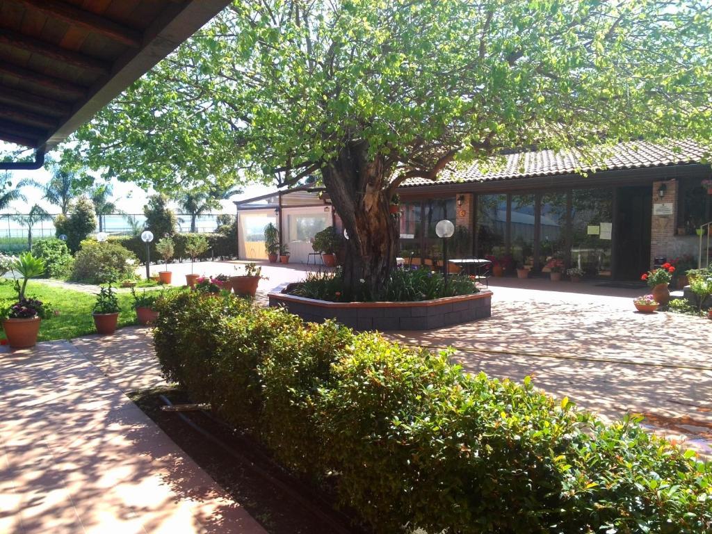 Agriturismo Il Pozzo Antico Mascali Zewnętrze zdjęcie
